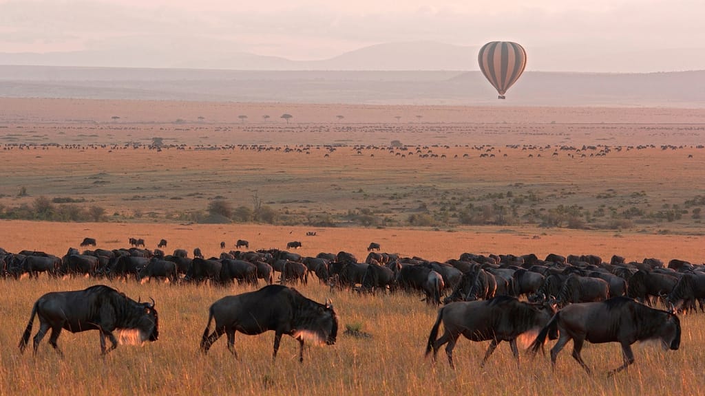 ViaggiAtelier - Masai Mara National Reserve