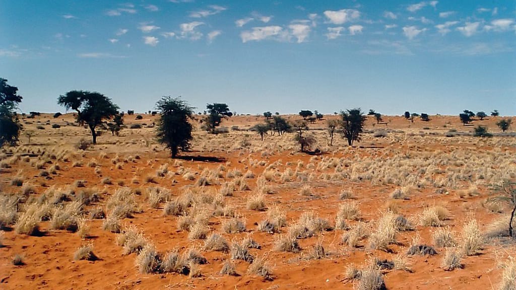 ViaggiAtelier-Kalahari