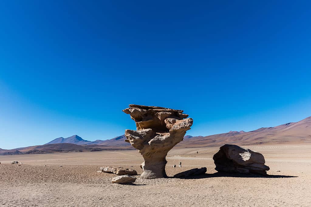 Bolivia - Tutto Bolivia - Deserto de Siloli